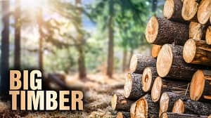 Big Timber 1. Sezon 8. Bölüm (Türkçe Dublaj) izle