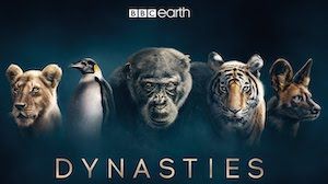 Dynasties 1. Sezon 2. Bölüm izle