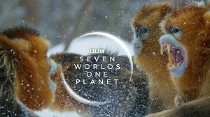 Seven Worlds, One Planet 1. Sezon 7. Bölüm (Türkçe Dublaj) izle